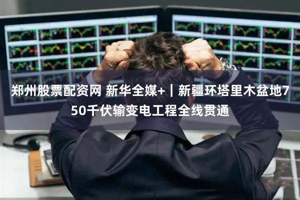 郑州股票配资网 新华全媒+｜新疆环塔里木盆地750千伏输变电工程全线贯通