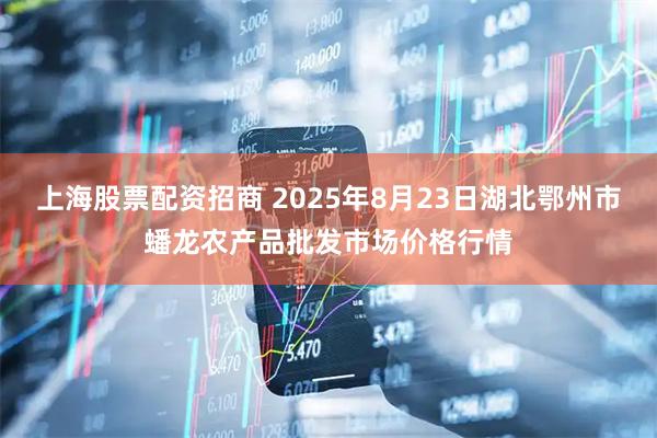 上海股票配资招商 2025年8月23日湖北鄂州市蟠龙农产品批发市场价格行情